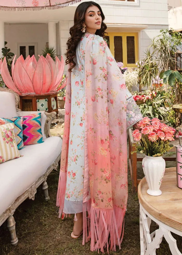 AFROZEH | RANGREZA SUMMER EDIT '23 | SOLASTA