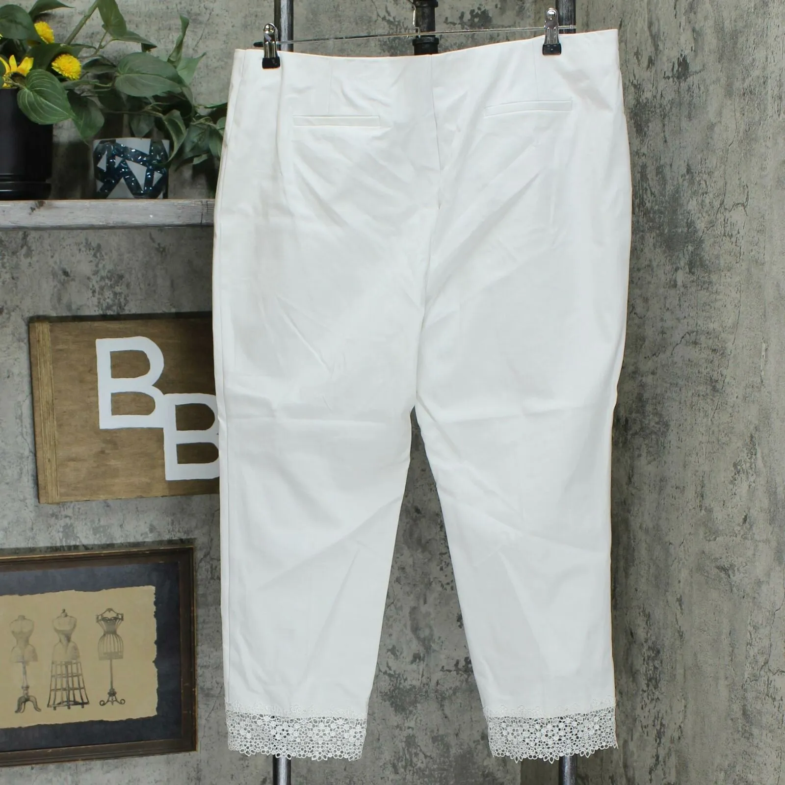 Alfani Women's Lace Hem Ankle Pants Soft White 18