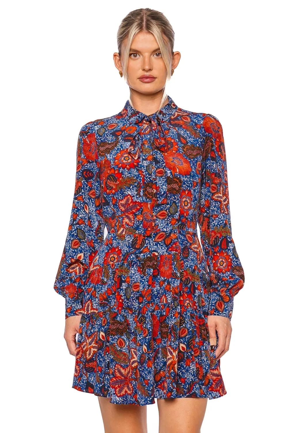 Aliya Printed Silk Long Sleeve Mini Dress