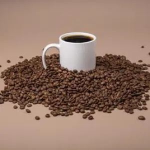 CHAGA MUSHROOM COFFEE BLEND