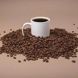 CHAGA MUSHROOM COFFEE BLEND