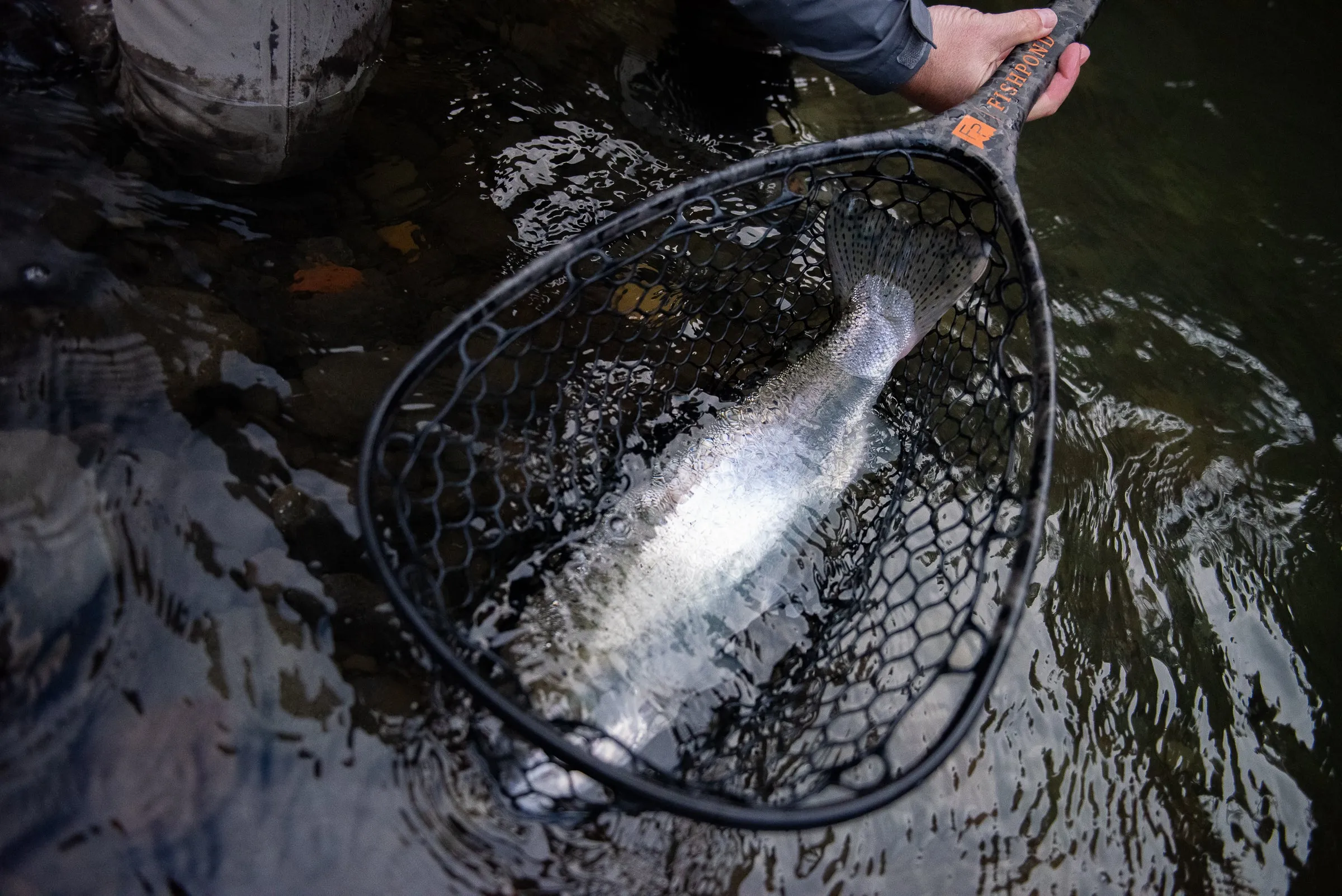 Fishpond Nomad® Mid-Length Net - 2024 Guide Series