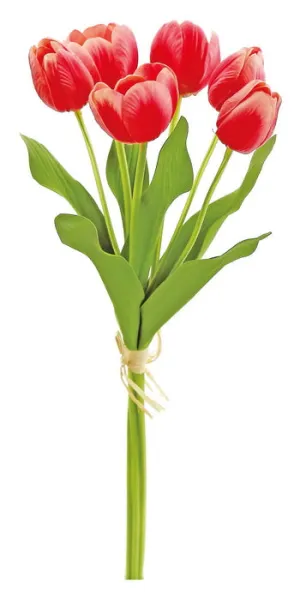 Large Tulip Bundle (6 Tulips)