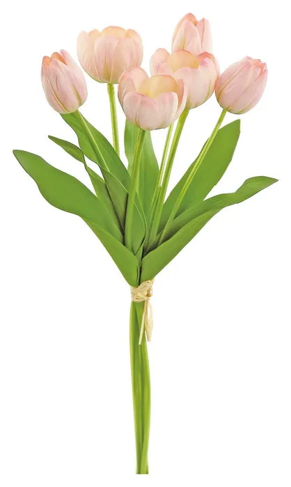 Large Tulip Bundle (6 Tulips)