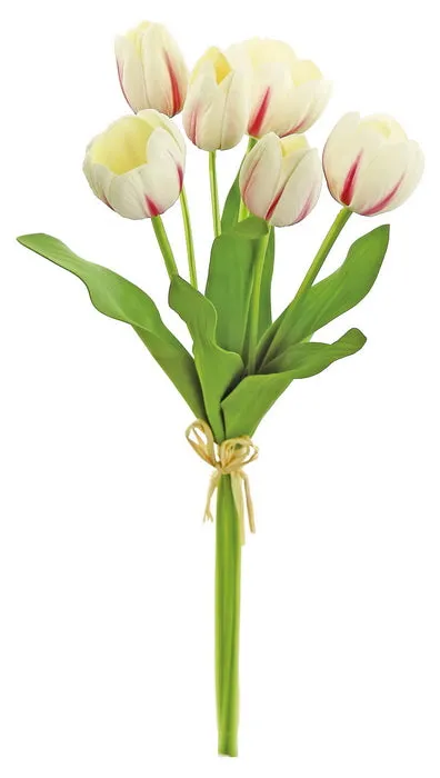 Large Tulip Bundle (6 Tulips)