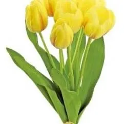 Large Tulip Bundle (6 Tulips)