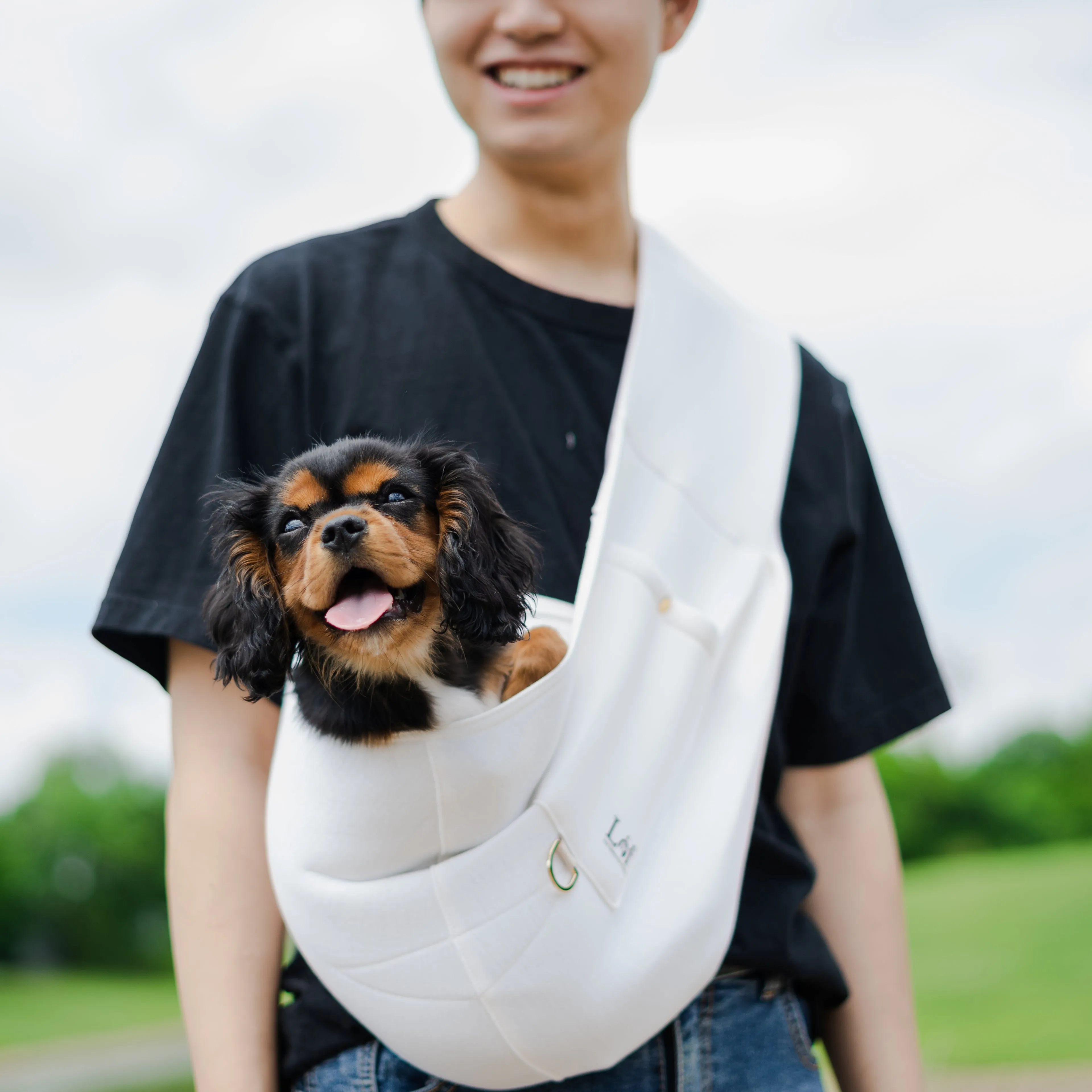Lof Neoprene Pet Sling Carrier - Secure & Stylish Travel for Small Dogs and Cats