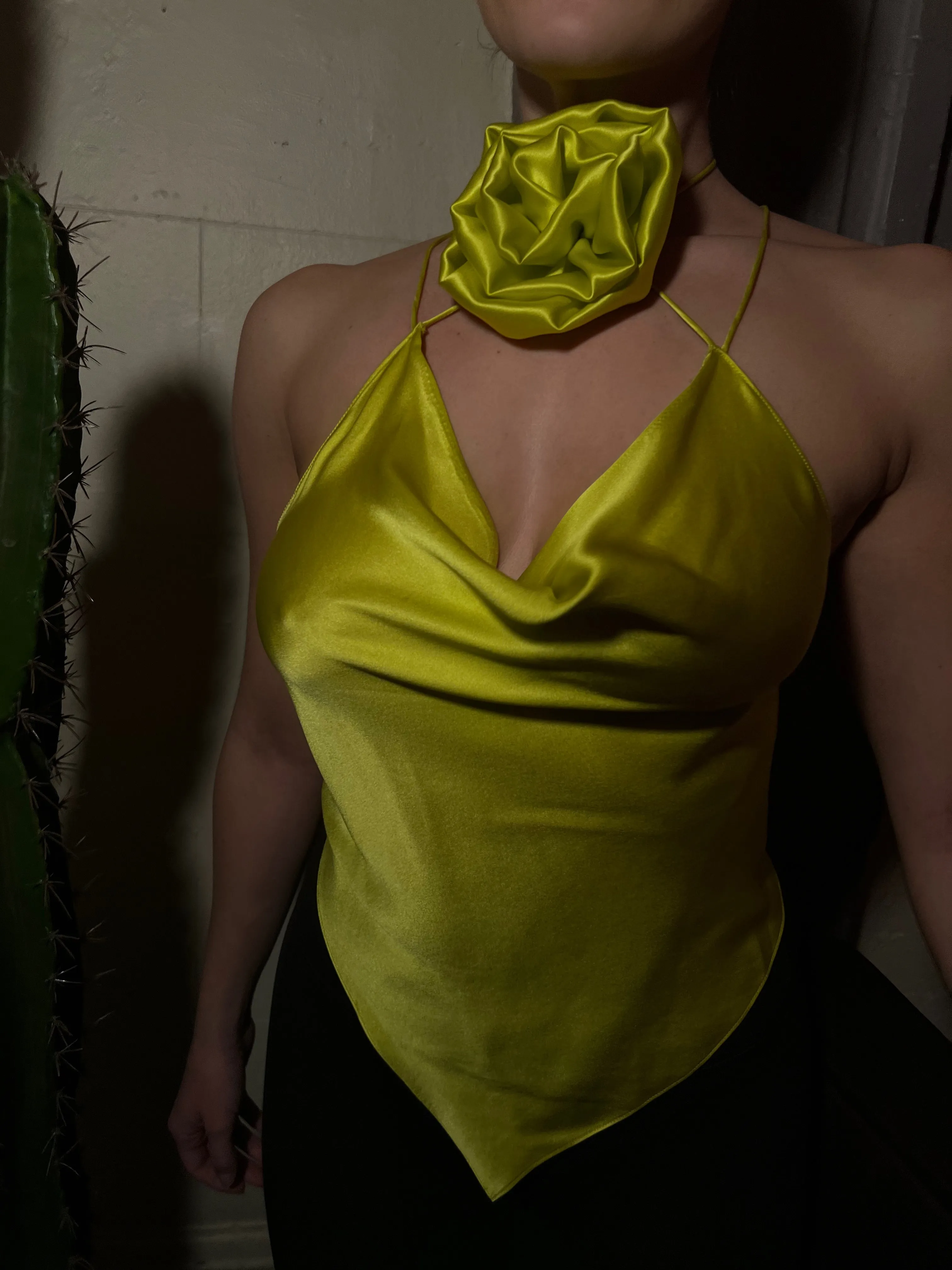 The Leo Top